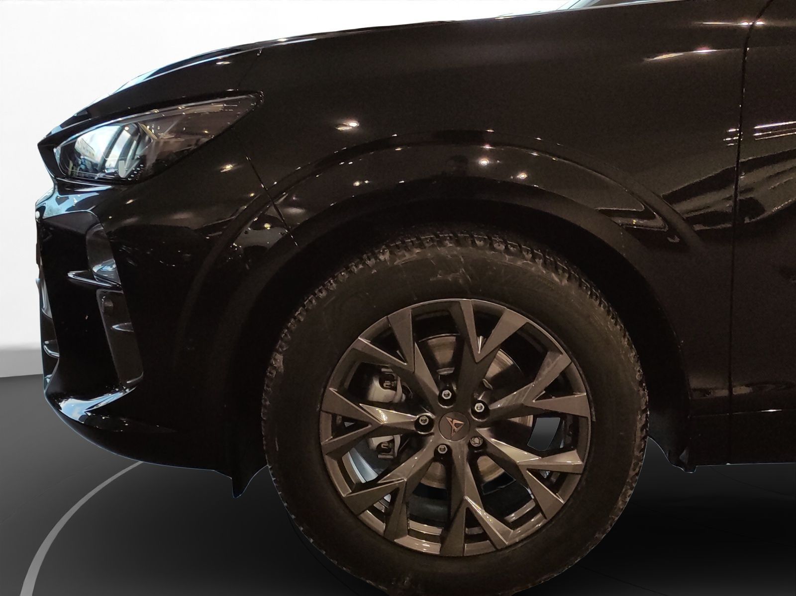 Cupra Terramar - Bild 8