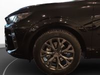 Cupra Terramar - Vorschau Bild 8