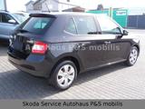 Skoda Fabia Ambition 1.0MPI 44kW  Comfort-Paket - Skoda Fabia Comfort mit Benzin-Antrieb