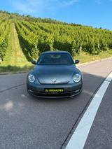 Volkswagen Bettle (Käfer) 1,2 TSI - Volkswagen: Kaefer