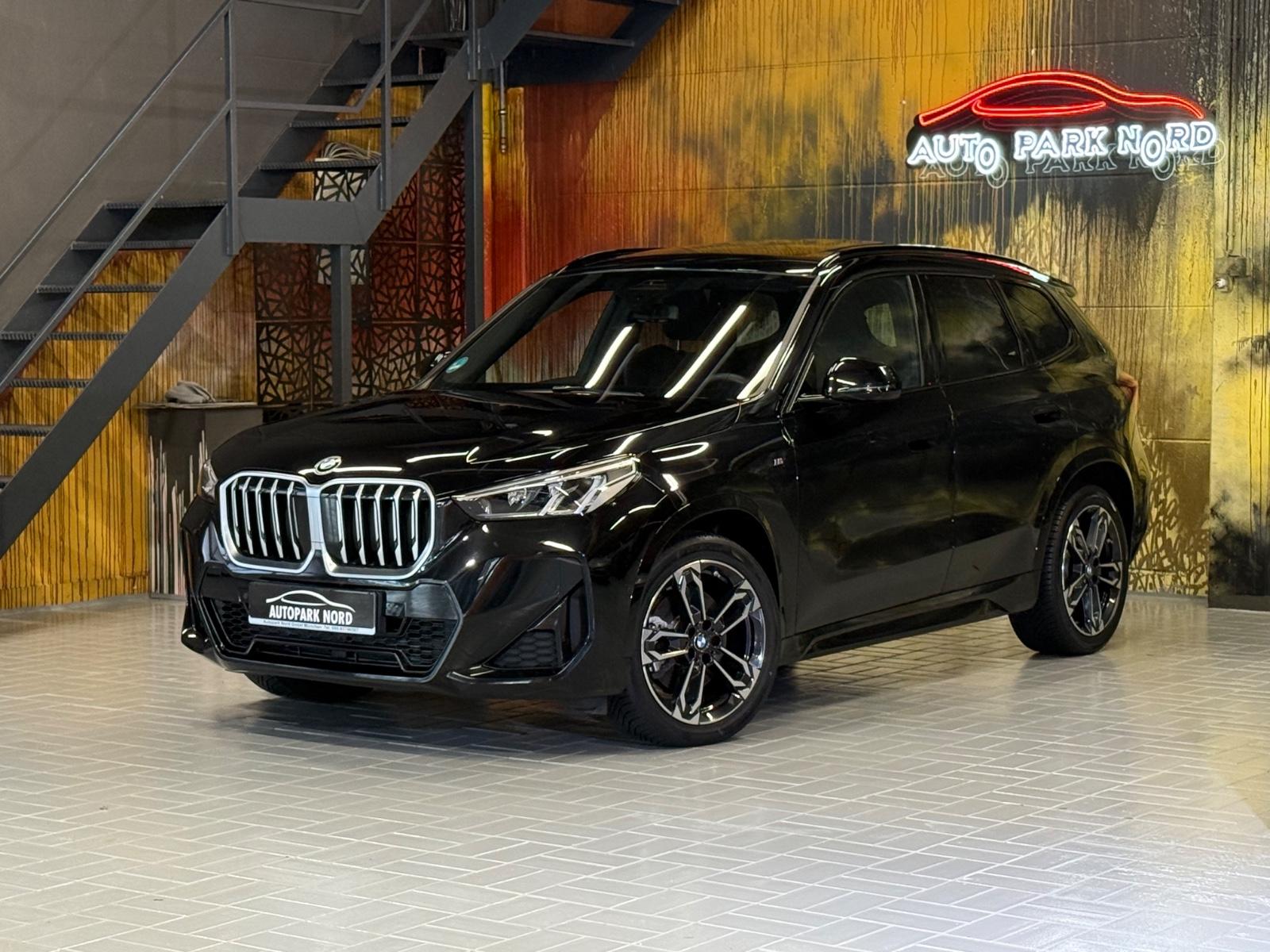 BMW X1 23 d xDrive M Sport~PANORAMA~KAMERA~LED~