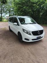 Mercedes-Benz Mercedes V-Klasse 250d - Mercedes-Benz E 250: Van