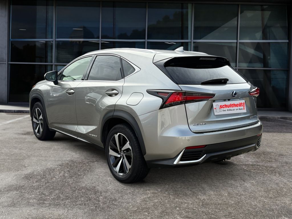 Fahrzeugabbildung Lexus NX 300h E-FOUR Luxury Line