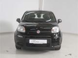 Fiat Panda 1.0 GSE Hybrid - gebrauchte Fiat Panda aus dem Jahr 2024