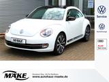 Volkswagen Beetle 1,4 TSI, Sport, Tempomat, SHZ, PDC+, - Volkswagen Beetle: Sport