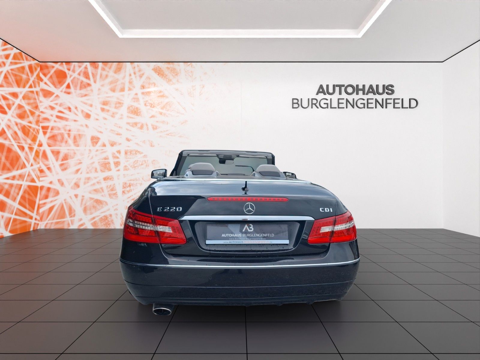 Fahrzeugabbildung Mercedes-Benz E 220 E -Klasse Cabrio E 220 CDI BlueEfficiency
