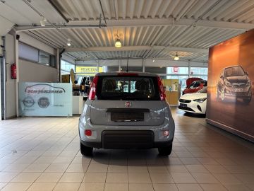 Bild 4 Fiat Panda Base 1.0 Mild Hybrid DAB Klima BT teilb.Rü