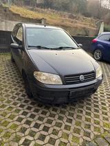 Fiat Punto 1.2 8V  - Fiat Punto aus 2004: 1.2