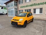 Fiat PANDA 1,3 MultiJet 95 WILD 4x4 vin 980 - Fiat Panda mit Diesel-Antrieb: Kleinwagen