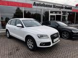 Audi Q5 2.0 TDI-AHK/EL.HECKKL/SOR+WIR/NAVI/SHZG/XENON - Audi Q5 mit Diesel-Antrieb: Weiß