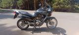 Honda Transalp XL650V - HONDA TRANSALP 650