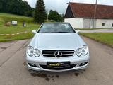 Mercedes-Benz CLK 350 Cabrio - Mercedes-Benz CLK 350 Benziner Gebrauchtwagen