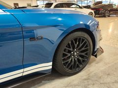 Fahrzeugabbildung Ford Mustang GT 5.0 Ti-VCT *SHELBY-KIT* SERVICE NEU!!