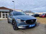 Mazda CX-30 2.5 140PS AT Homura LED - Mazda CX-30 Tageszulassungen