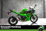 Kawasaki Ninja 500 SE ABS, WERKSGARANTIE bis 03/2028 - KAWASAKI 50