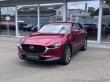 Mazda CX-30 SKYACTIV-X 186 AUT. Selection AWD *ALLRAD* - Mazda Gebrauchtwagen in Freiburg