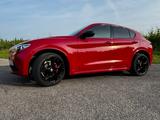 Alfa Romeo Stelvio 2.0 Turbo 16V 206kW Veloce Ti AT8-Q4... - Alfa Romeo Stelvio aus 2021