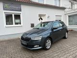 Skoda Fabia Clever Best OF LED NAVI PANO ACC SHZ CARPL - Skoda Fabia: Clever Best Of