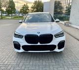 BMW X5 G05 xDrive30d - M-Sport  - BMW X5 mit Diesel-Antrieb: 3.0