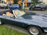 Jaguar XJS V12 Cabrio | H-Kennzeichen | fahrber. - Jaguar XJS: Cabrio, V12