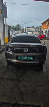 Ford Mustang 2014 305 PS 111.000 km - Ford Mustang: Privatanbieter