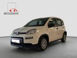 Fiat Panda 1.0 Hybrid - Fiat Panda in Osnabrück
