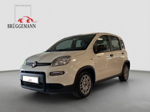 Fiat Panda 1.0 Hybrid