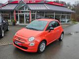 Fiat 500 1,0 Cult - Fiat 500: Cult