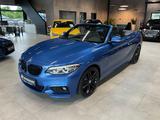 BMW 220d Cabrio M Paket H&K LED Navi M Bremse - gebrauchte BMW 220 aus dem Jahr 2020