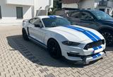 Ford Mustang 5.0 TV8 GT - GT 350 OPTIK - Ford Mustang: Gt350