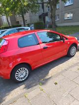 Fiat Punto 1.2 8V YOUNG II YOUNG II - Fiat Punto: Rot