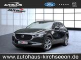 Mazda CX-30 2.5 e-SKYACTIV-G Takumi 2WD Automatik Navi