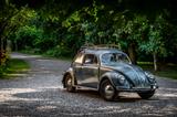 Volkswagen Käfer