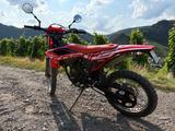 Beta RR50