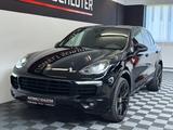 Porsche Cayenne 3.0L Diesel Platinum Edition Pano*Navi* - Porsche Cayenne in Hannover