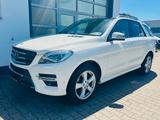Mercedes-Benz ML 500 BlueEff./AMG/Pano/Sitzkühl./AHK/S-Heft... - Mercedes-Benz ML 500: Geländewagen