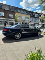 Volkswagen Pheaton V6 TDi - Volkswagen Phaeton in Köln