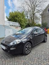 Fiat Punto 1.2 8V YOUNG  - Fiat Punto Gebrauchtwagen in Mülheim (Ruhr)