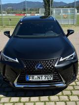 Lexus UX 250h Style Edition Style Edition - Lexus UX Gebrauchtwagen