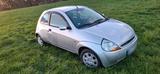 Ford Ka 144.946 km - Ford aus 2005: Ka