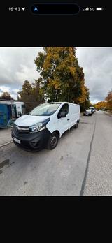 Opel Kastenwagen Transporter - Opel Vivaro: Kastenwagen