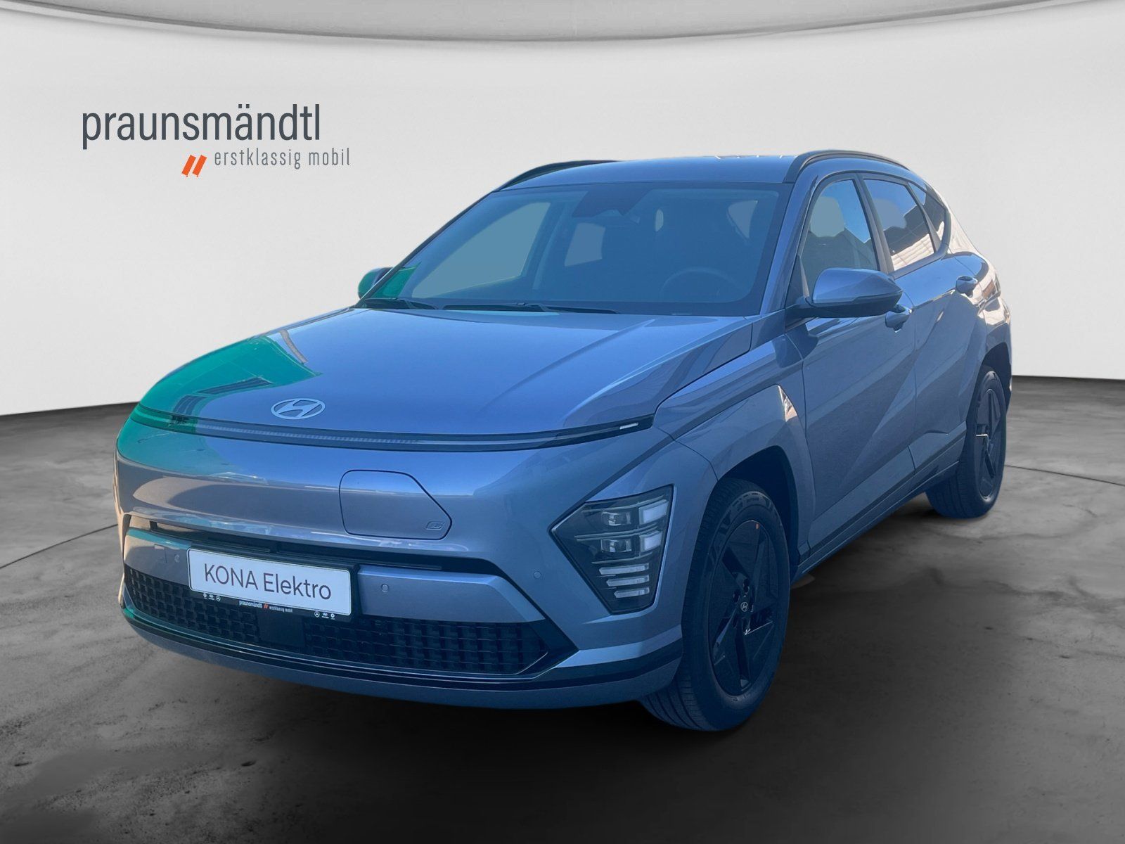 Hyundai Trend EV el. Heck.Navi,LM,SHZ,Kamera,Bluetooth,