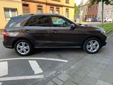 Mercedes-Benz ML 250 BlueTEC 4MATIC -CDI BlueTec  - gebrauchte Mercedes-Benz ML 250 aus dem Jahr 2013