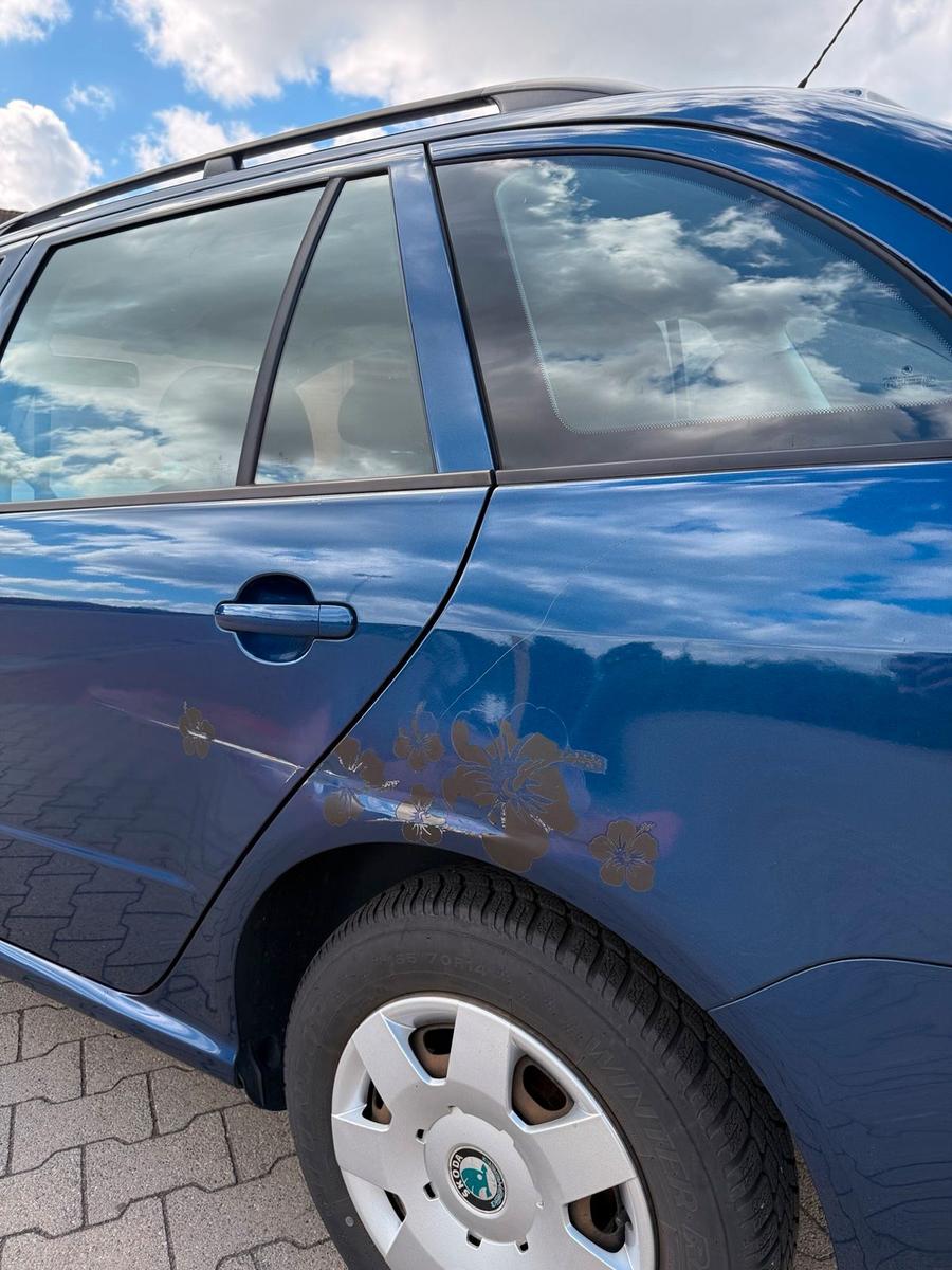 Skoda Fabia 2007 — photo 6