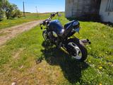 Suzuki GSF 600 N - SUZUKI STREETFIGHTER