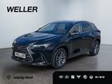 Lexus NX 350h Executive Line*HuD*PANO*NAVI*360°*KLIMA - Lexus aus 2024: Nx