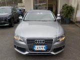 Audi AUDI A4 2.0 TDI 170CV F.AP. Advanced - Audi A4: TDI 170