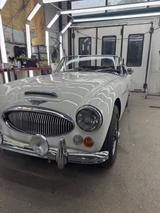 Austin Healey MK2 - Austin Healey Gebrauchtwagen
