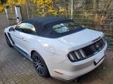 Ford Mustang 2.3 EcoBoost - Cabrio - Ford Mustang in Wiesbaden