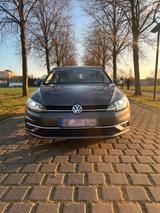 Volkswagen VW Golf VII | Baujahr 2020 | - Volkswagen Golf: V Baujahr